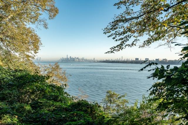 A view of the Manhattan Skyline and Upper New York Bay from between trees.