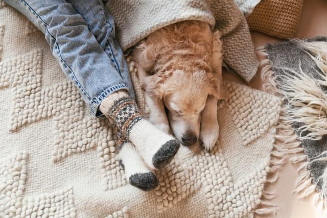 Resident with dog cozied up on the floor with rugs and blankets