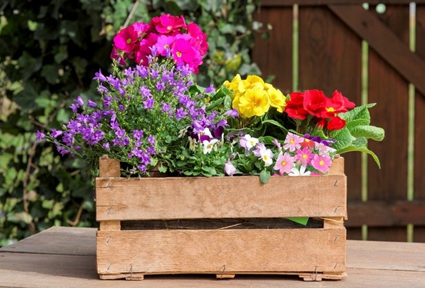 a box of vibrant flowers