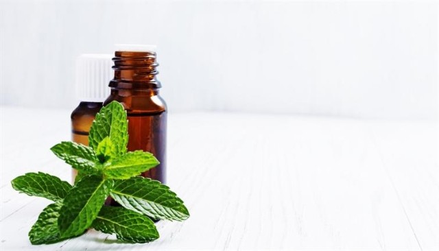 a jar of peppermint oil next to peppermint leaves