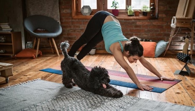 A woman doing yoga with her dog in the living room