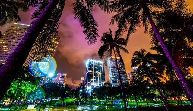 A beautiful shot of Miami at night