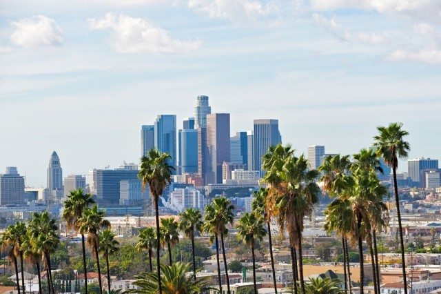 Cityscape of LA with palm trees in the foreground 