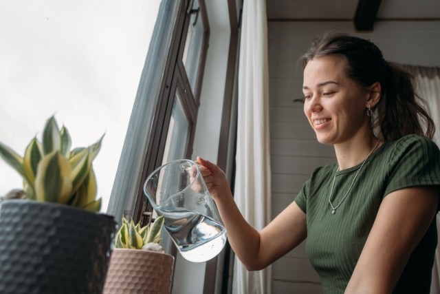 A young woman waters plants on a windowsill.