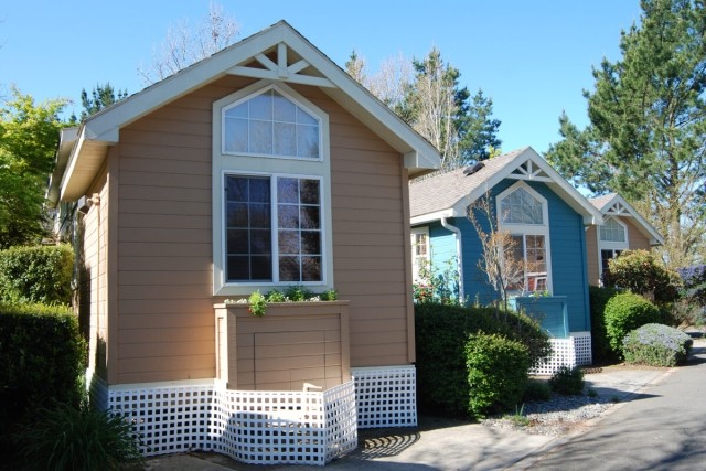 Three tiny houses are lined up on a street, surrounded by trees and bushes.