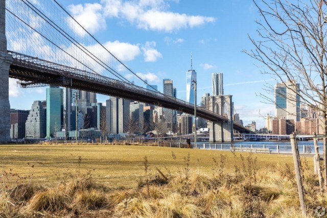 A view of the Brooklyn Bridge shows the Manhattan skyline in the background.