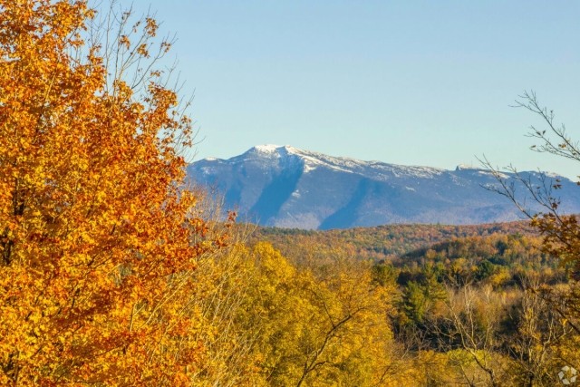 Mount Mansfield peeks through golden foliage in Fairfax Village.