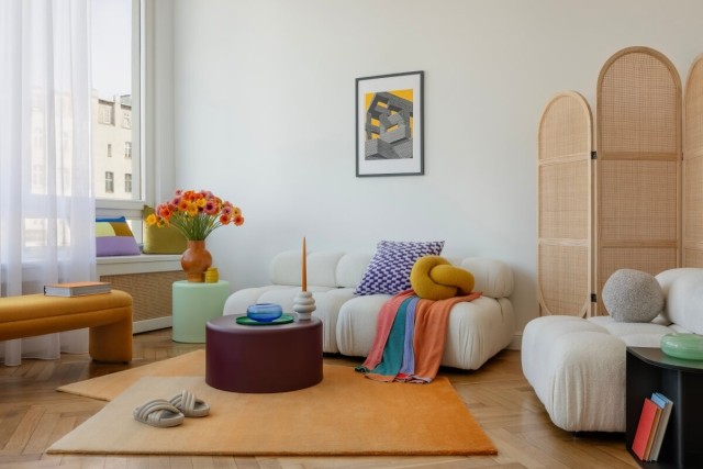 An apartment living room is decorating with quirky seating and colorful throw pillows and blankets.