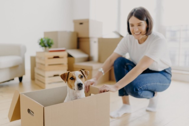 Tenant unpacks moving boxes in her apartment with her dog.