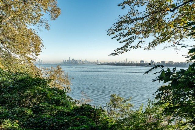 A view of the Manhattan Skyline and Upper New York Bay from between trees.