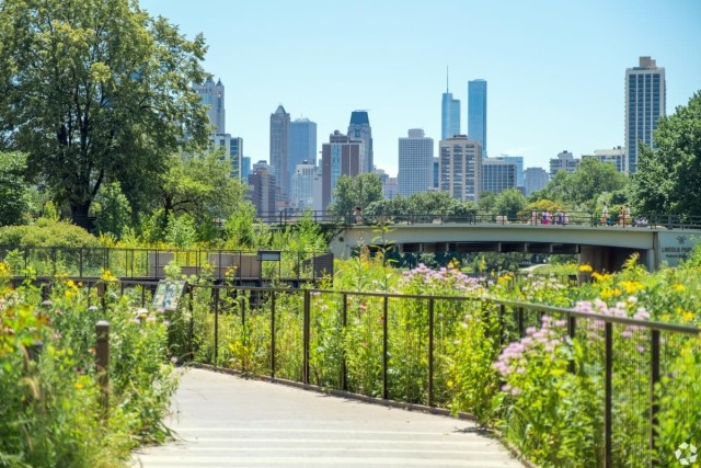 View of the Chicago cityscape