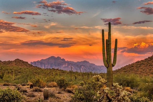 The orange red sky of Tucson, AZ