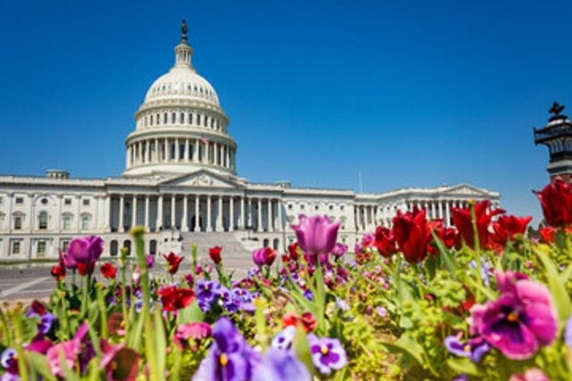 Washington, DC Capitol Building With Flowers