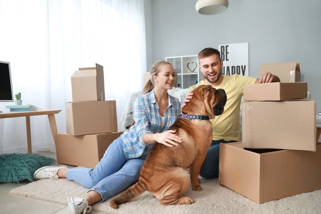 Renters getting ready to move with their pet dog.